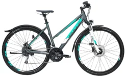 Bulls Cross Street Disc 2019