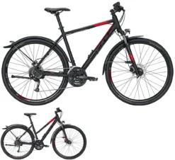 Bulls Street Flyer 2021