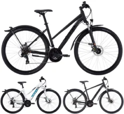 Bulls Wildcross Street 2022