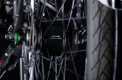 Bulls Lacuba-Evo Lite 5-Gang 2019 -Fahrräder Verkäufe Inter5