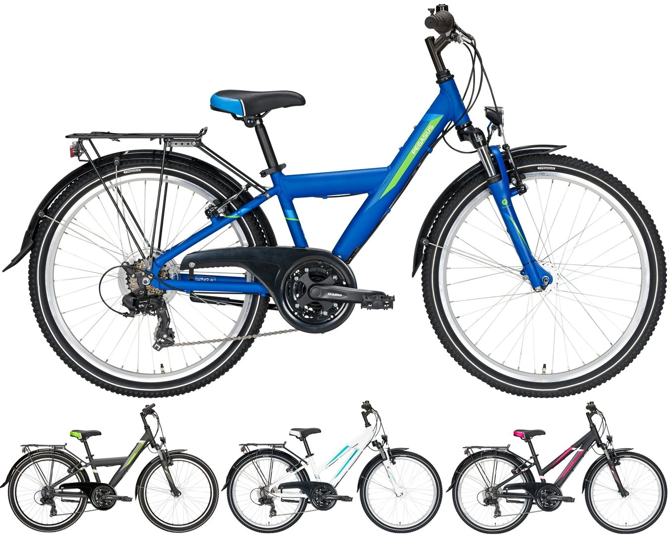 Pegasus Avanti 2021 18-Gang 1 Pegasus Avanti 2021 18-Gang