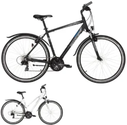 Pegasus Avanti-Sport 2017 21-Gang