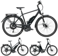 Pegasus Lavida-Plus 30-Gang 2019