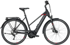 Pegasus Premio-Evo-10 2020 -Fahrräder Verkäufe Pegasus Premio Evo 10 Damen Trapez black matt grey red 714 715 716 49745 49750 49755