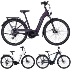 Pegasus Premio-Evo-11 "40 Years" 750 2022