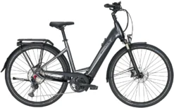 Pegasus Premio-Evo-12 Lite 2020 -Fahrräder Verkäufe Pegasus Premio Evo 12 Lite Damen Wave black chrome black matt 714 715 716 59245 59250 59255