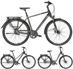 Pegasus Premio SL-Belt 2019 8-Gang