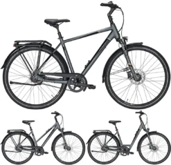 Pegasus Premio SL-Belt 2020-2021 8-Gang