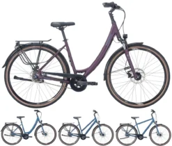 Pegasus Savona-Disc 2023 8-Gang