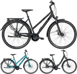 Pegasus Savona-Disc 2020/2021 8-Gang