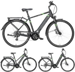 Pegasus Solero-Evo 8 2018