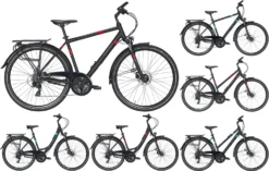 Pegasus Solero-Disc 2020/2021 24-Gang