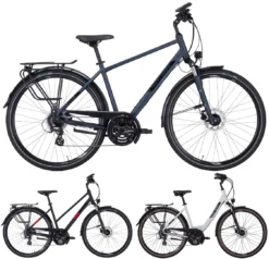 Pegasus Solero-Disc 2022 24-Gang