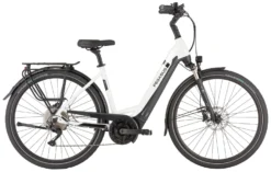 Pegasus Strong-Evo-10 2022 -Fahrräder Verkäufe Pegasus Strong Evo 10 2022 Tiefeinstieg Unisex Damen Wave metallic off white black matt weiss schwarz 644 645 646 55845 55850 55855 55860